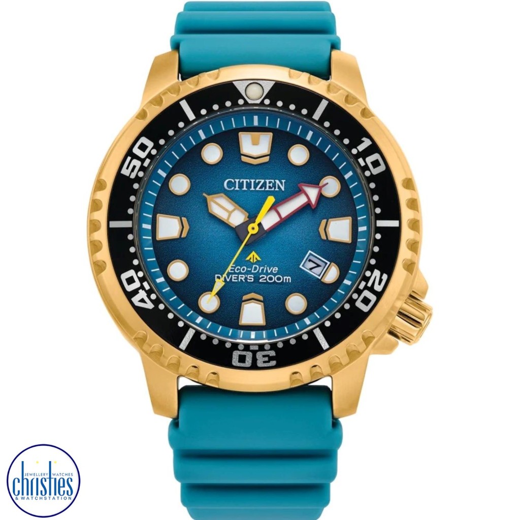 Citizen promaster wr200 best sale