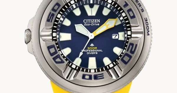 Citizen wr300 online