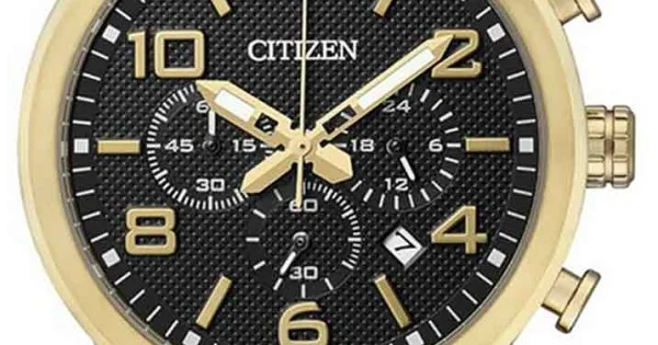 Citizen chronograph wr100 discount gold