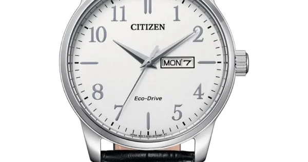 Citizen eco drive white face best sale